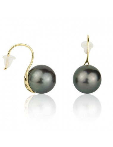 Tahiti Black Sea Pearl Gold Earrings K995G18