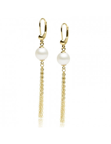 Gold Akoya Sea Pearl Earrings KLANm758G
