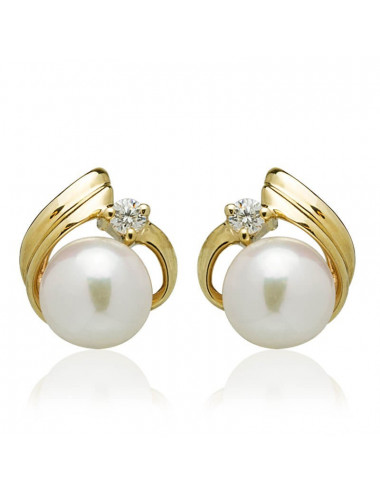 Golden Sea Pearl Earrings KM56BG