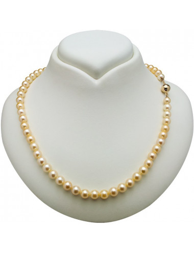 Gold Akoya Pearls Necklace with gold ball clasp Nmz657G2