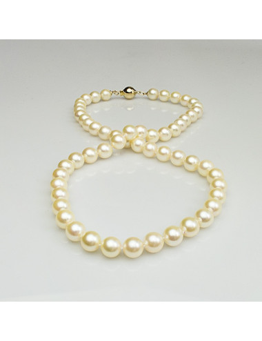 Necklace of shimmering ecru-colored Akoya pearls NA0775G