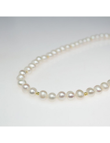 Silver necklace N6585S1LAN