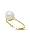 Gold ring with Akoya pearl R485M885G