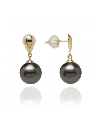 Gold Earrings with Tahiti Pearls ET910G