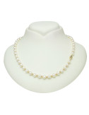 Gold necklace with pearls N6065KUS3