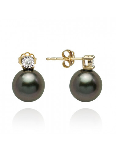 Gold earrings with Tahiti pearls KT9510G