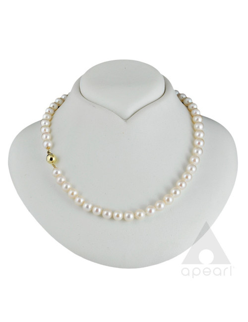 White Akoya sea pearl necklace with gold clasp Nm758G3