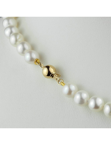 White pearl necklace-gold ball clasp NW6070G3