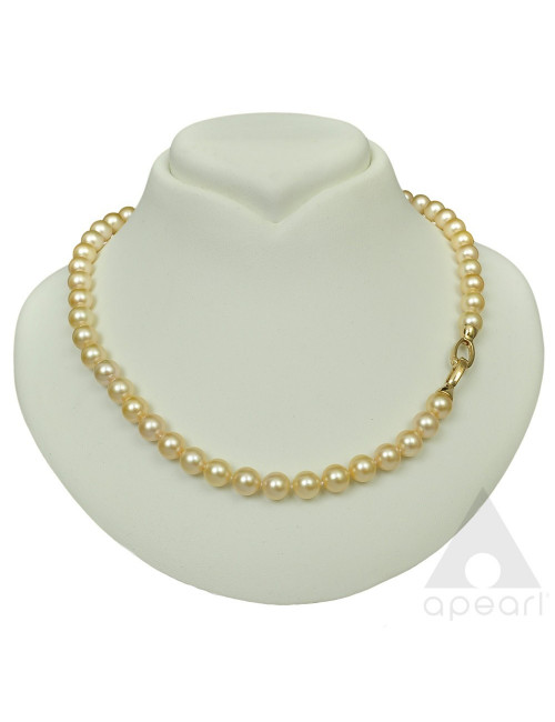 Gold Akoya pearl necklace with double-sided snap clasp KJP011-12