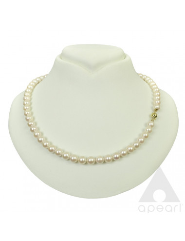 Golden Akoya Sea Pearl Necklace Nm657G2